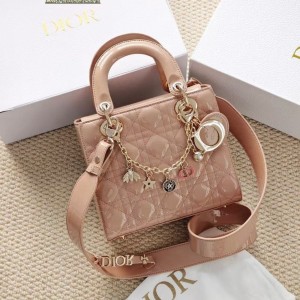 애나멜 레이디백 스몰