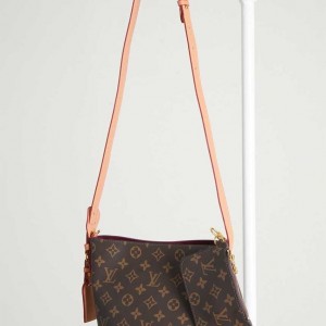 ? [Louis Vuitton] 루이비통 모노그램 올인 BB ?