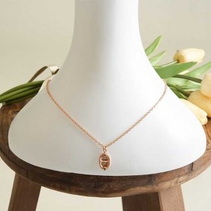 ? [HERMES] 에르메스 미니 샹달 펜던트 네크리스 ?